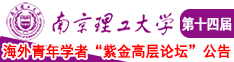 他插进来狠狠抽动南京理工大学第十四届海外青年学者紫金论坛诚邀海内外英才！